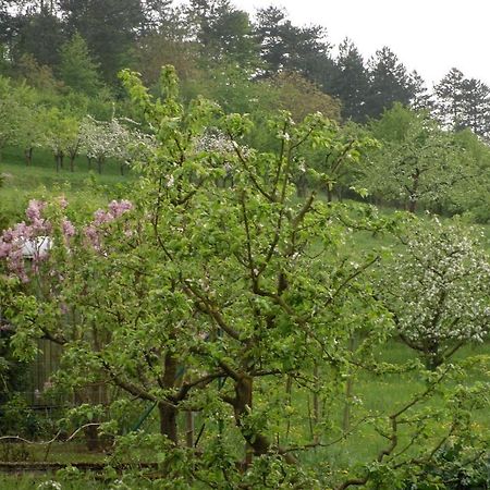 Hotel Gaestehaus Zum Lamm Lauda-Königshofen Pokój zdjęcie